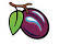 plum
